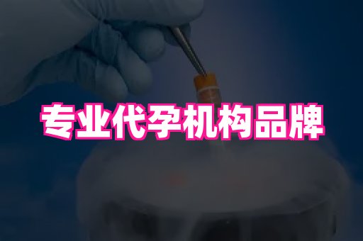 厦门助孕网站 4
